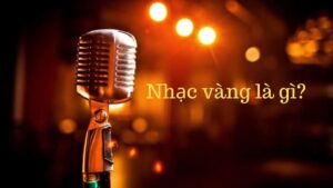 Nhạc vàng là gì? Sự khác nhau giữa nhạc vàng và Bolero