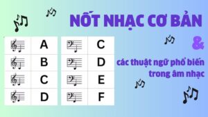 nốt nhạc cơ bản